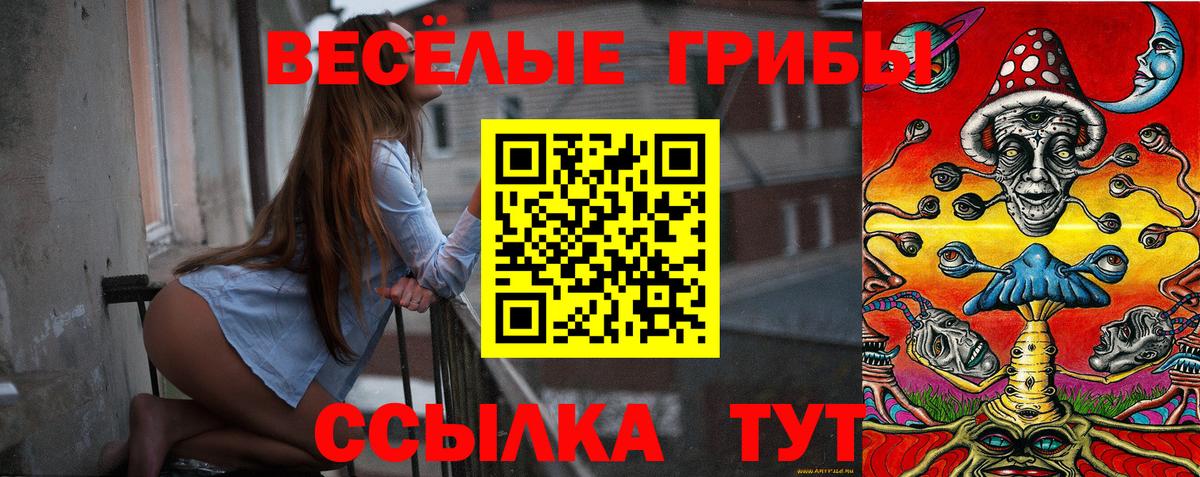 Магнитогорск  Галлюциногенные грибы Psilocybine cubensis  Вход с VPN 